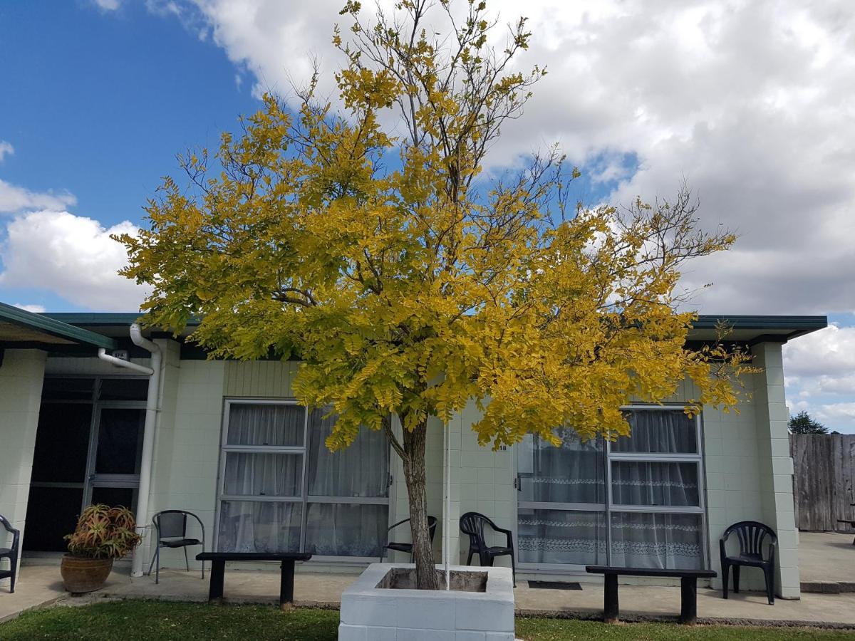 Parkview Motel Dargaville Bagian luar foto